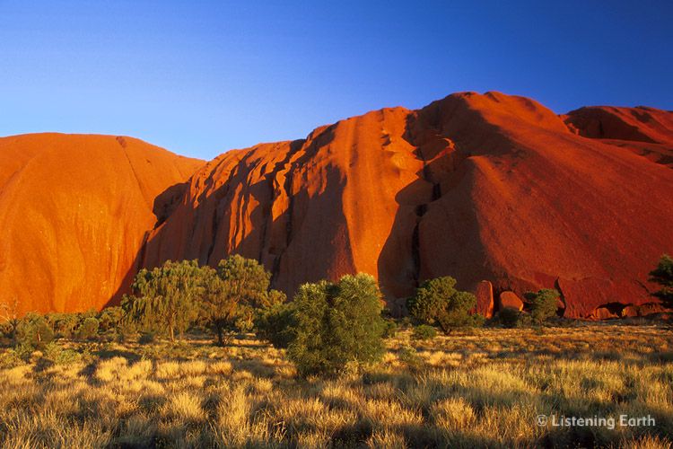 Flank of Uluru in late afternoon light