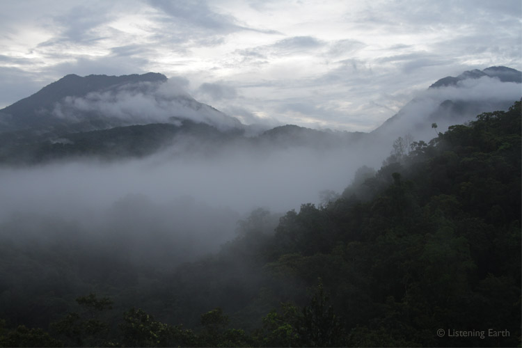 Kolombangara is a dormant volcano, rising 1700 meters to a mist-shrouded caldera