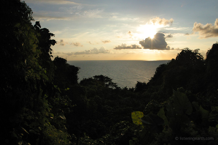 Distant wave wash is heard from our recording location, the rainforest of Loru Reserve. 