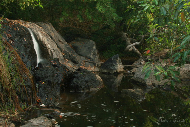 A little further on... a secluded rainforest waterfall