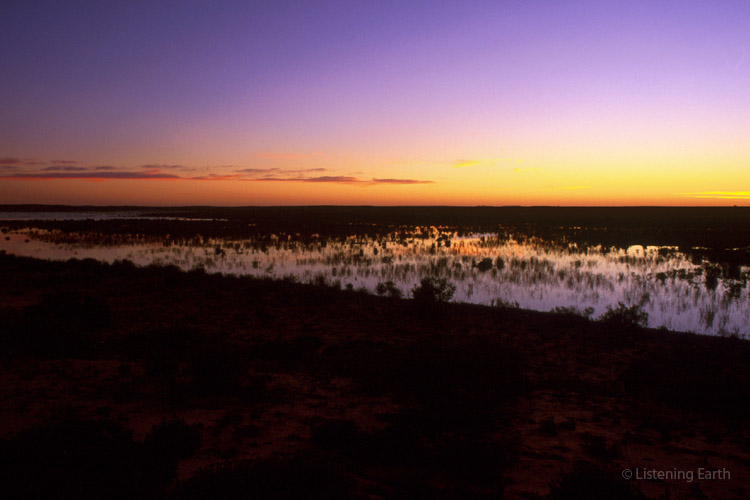 Wetland silhouette at dawn